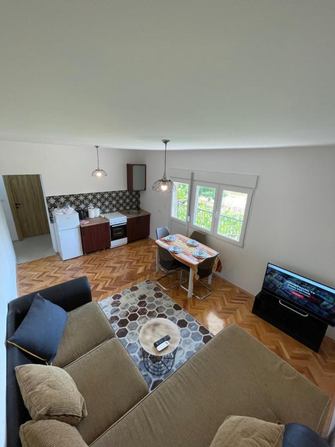 Entire 1-Bedroom Apartment With Free Parking 波德戈里察 外观 照片